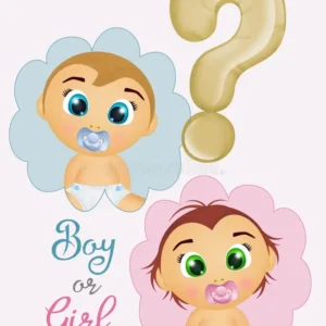 Show de Payaso para Revelación de Sexo